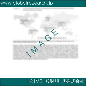 グローバルリサーチ調査資料のイメージ